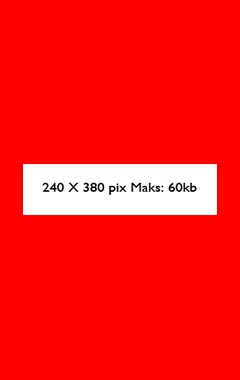 240 x 380 pix Maks 60 kb a