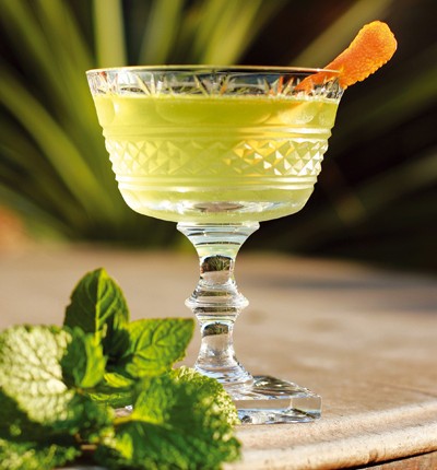 Gin Smash