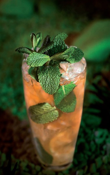 Brandy Mojito